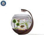 آکواریوم چراغ دار رومیزی