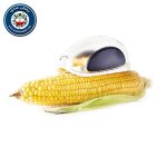 ذرت دون کن خانگی Corn Stripper