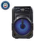 اسپیکر بلوتوث دار قابل حمل مدل GTS-1346