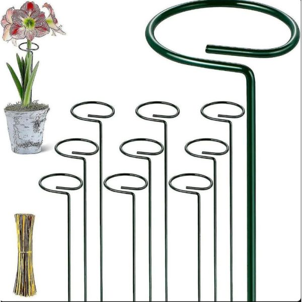 خرید پایه نگهدارنده گل