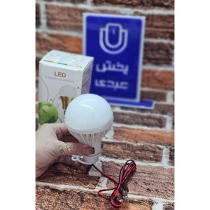 خرید لامپ سیار خودرو