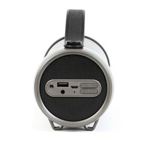 اسپیکر بیکارو پرتابل S33D