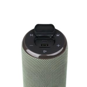 اسپیکر بیکارو پرتابل GS403